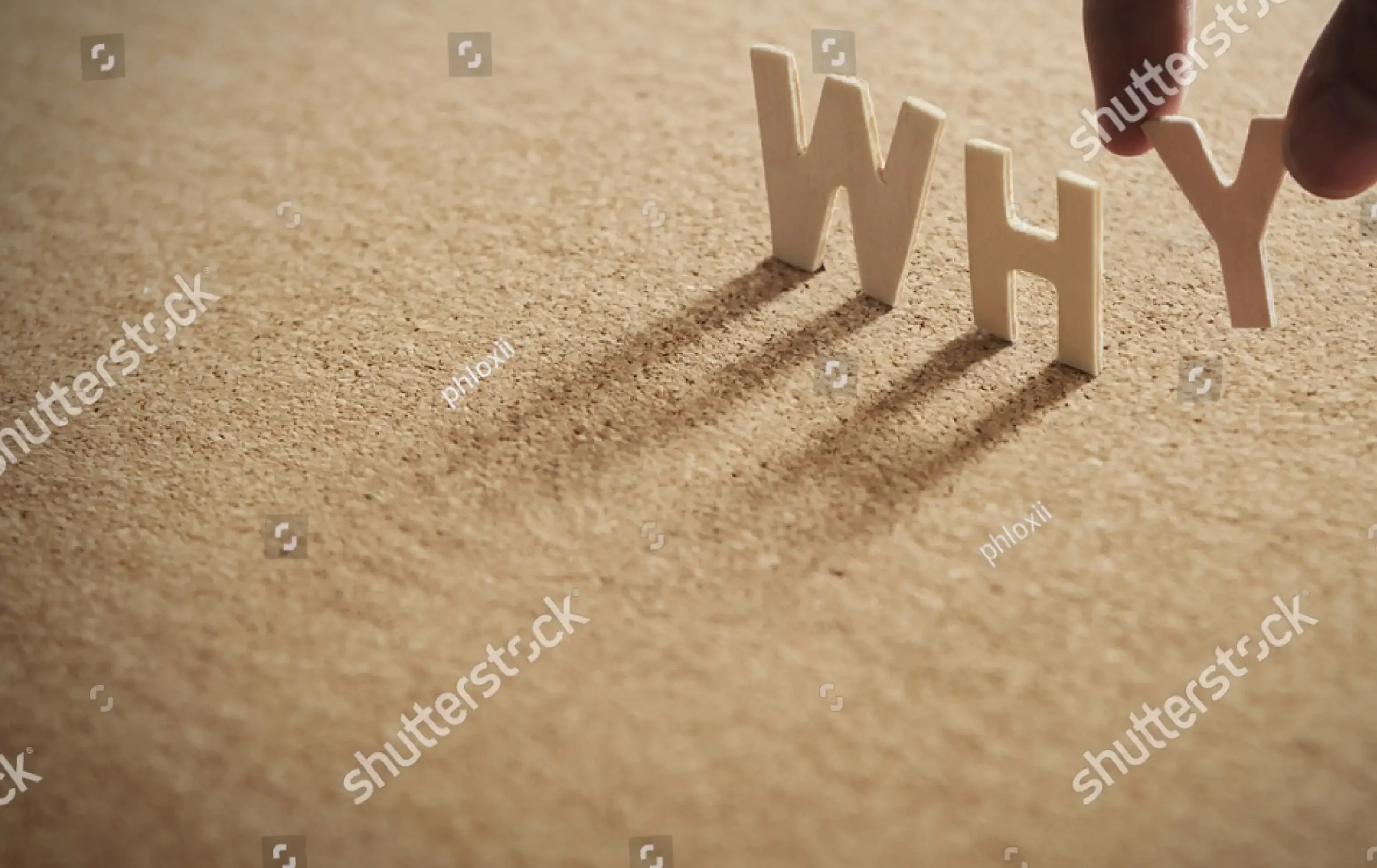 why-choose-us